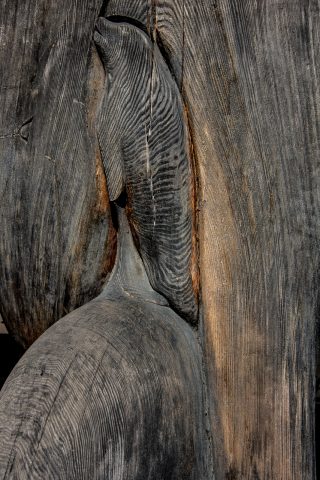 Carving detail on totem pole, Duncan, Vancouver Island