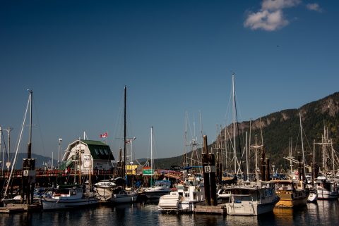 Cowichan Bay Harbour, Vancouver Island