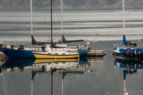 Cowichan Bay Harbour, Vancouver Island