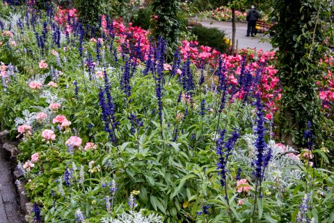 Butchart Gardens, near Victoria, Vancouver Island