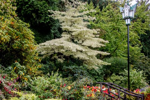 Butchart Gardens, near Victoria, Vancouver Island