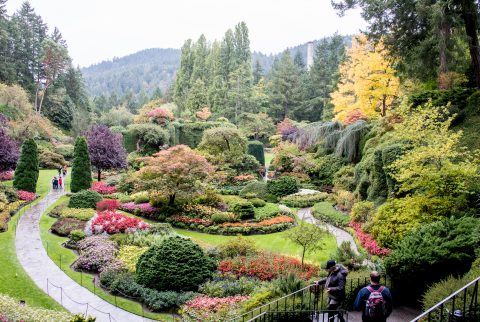 Sunken Garden, Butchart Gardens, Vancouver island