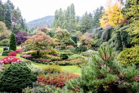 Sunken Garden, Butchart Gardens, Vancouver island