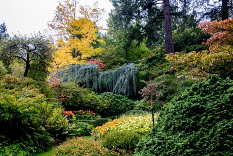 Sunken Garden, Butchart Gardens, Vancouver island