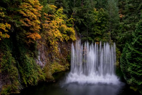 Sunken Garden, Butchart Gardens, Vancouver island