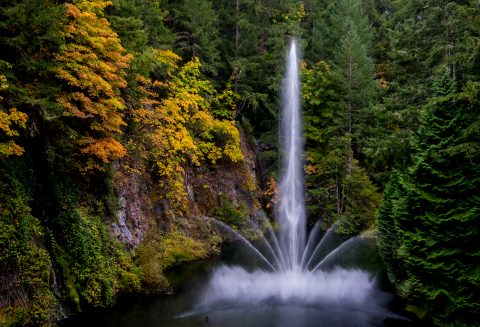 Sunken Garden, Butchart Gardens, Vancouver island