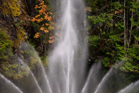 Sunken Garden, Butchart Gardens, Vancouver island