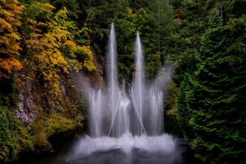 Sunken Garden, Butchart Gardens, Vancouver island