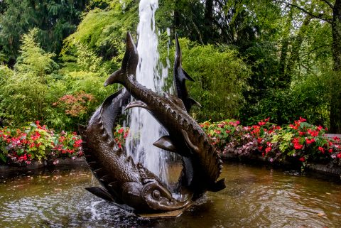 Sturgeon Fountain, Butchart Gardens, Vancouver island