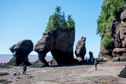 Hopewell Rocks. Bay of Fundy, New Brunswick