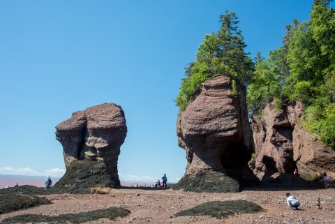 Hopewell Rocks. Bay of Fundy, New Brunswick