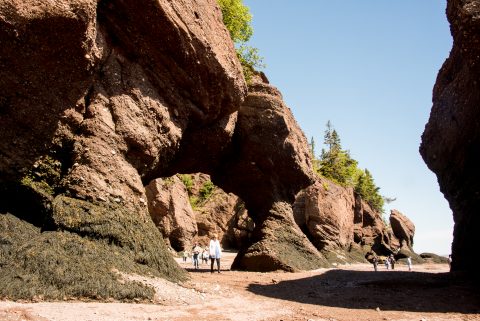 Hopewell Rocks. Bay of Fundy, New Brunswick