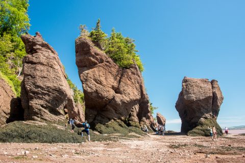 Hopewell Rocks. Bay of Fundy, New Brunswick