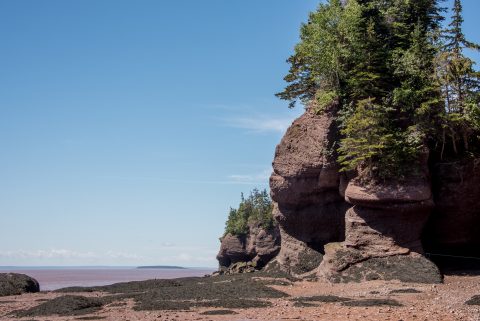 Hopewell Rocks. Bay of Fundy, New Brunswick