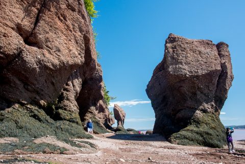 Hopewell Rocks. Bay of Fundy, New Brunswick