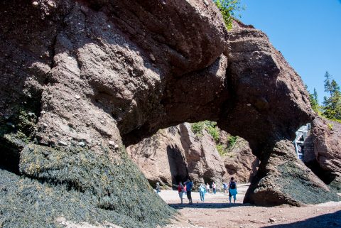 Hopewell Rocks. Bay of Fundy, New Brunswick