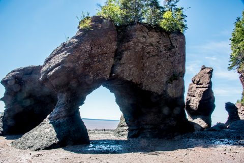 Hopewell Rocks. Bay of Fundy, New Brunswick