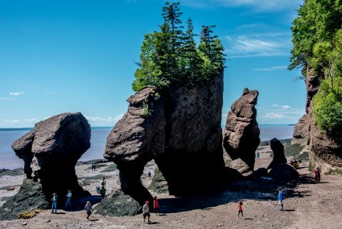 Hopewell Rocks. Bay of Fundy, New Brunswick