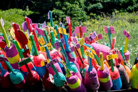 Lobster pot floats, North Cape, PEI