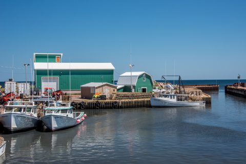 Sea Cow Pond harbour, PEI