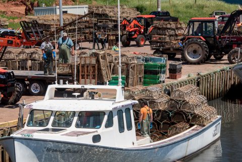 Sea Cow Pond harbour, PEI