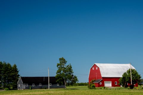 Typical barn, PEI
