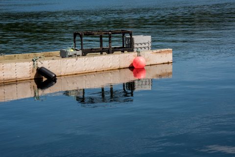 Ingonish Landing, Ns