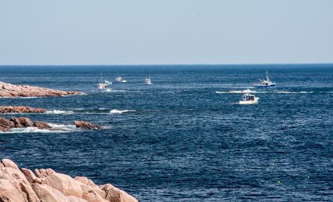 Lobster boats laying traps off Lakies Head, NS