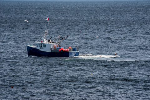 Lobster boat laying traps off Lakies Head, NS