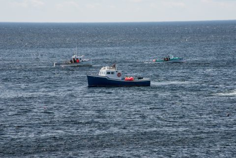 Lobster boats laying traps off Lakies Head, NS
