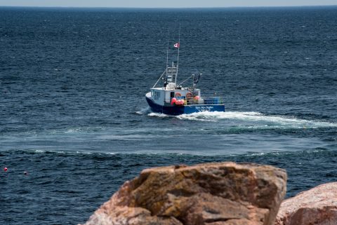 Lobster boat laying traps off Green Cove, NS