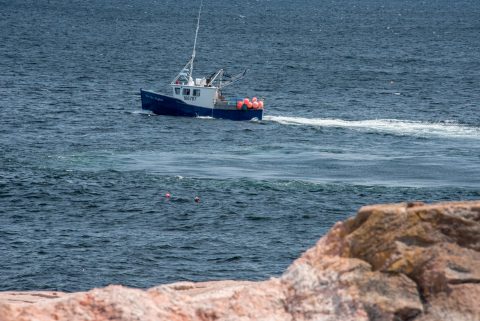 Lobster boat laying traps off Green Cove, NS