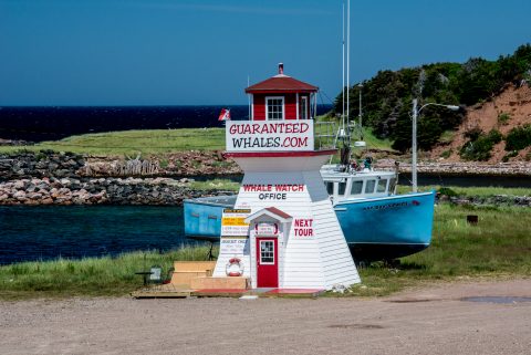 Pleasant Bay Harbour, NS