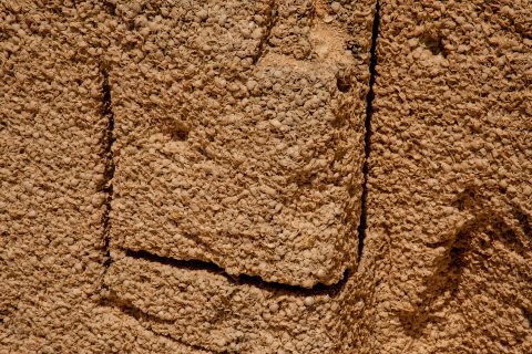 Coquina block, Hamelin Pool, WA