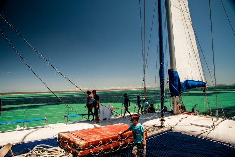 Catamaran sailing, Monkey Mia, Shark Bay, WA