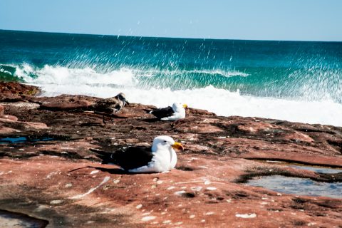Red Bluff Beach, Kalbarri, WA