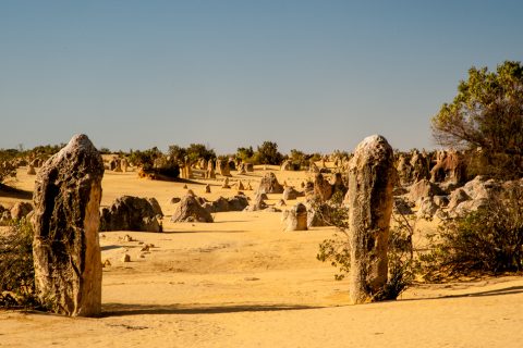 Pinnacles Desert, Nambung National Park, Cervantes, WA
