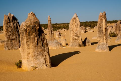 Pinnacles Desert, Nambung National Park, Cervantes, WA