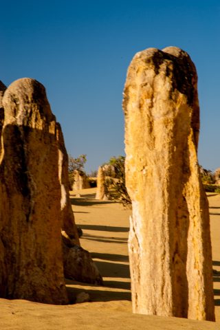 Pinnacles Desert, Nambung National Park, Cervantes, WA