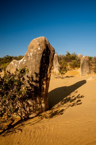Pinnacles Desert, Nambung National Park, Cervantes, WA
