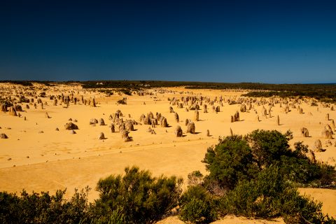 Pinnacles Desert, Nambung National Park, Cervantes, WA