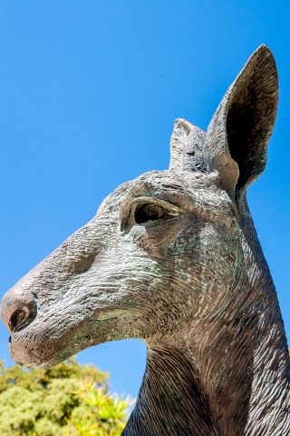 Kangaroo statue, Sterling Gardens, Perth WA