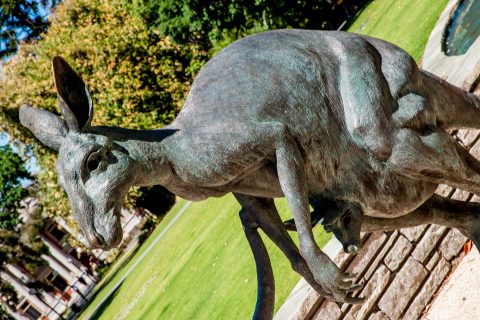 Kangaroo &  joey statue, Sterling Gardens, Perth WA