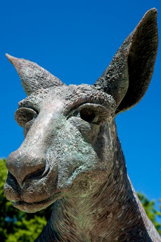 Kangaroo statue, Sterling Gardens, Perth WA