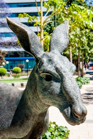 Kangaroo statue, Sterling Gardens, Perth WA