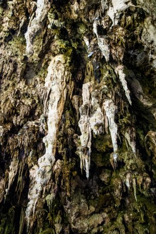 Lake Cave, near Margaret River, wA