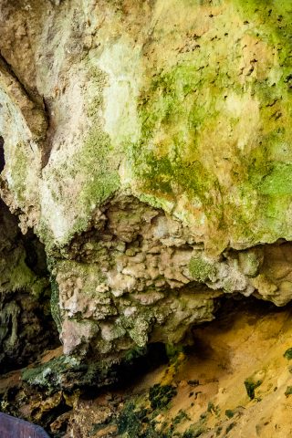 Mamoth Cave, near Margaret River WA