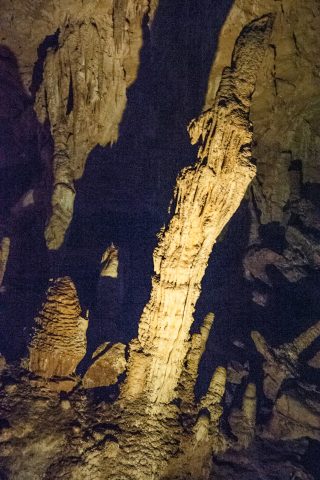 Mamoth Cave, near Margaret River WA