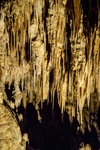 Mamoth Cave, near Margaret River WA
