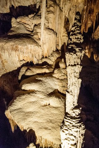 Mamoth Cave, near Margaret River WA